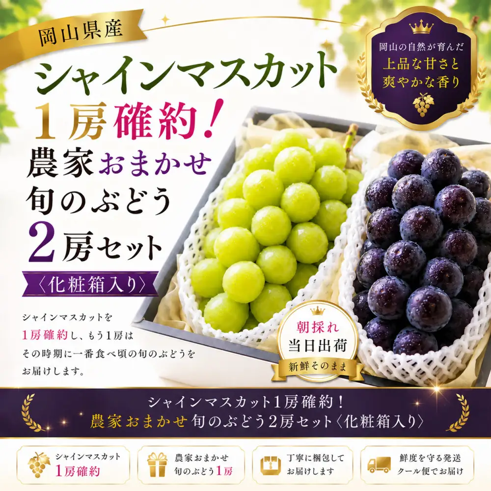 シャインマスカット1房確約！ぶどう2房セット《1.4kg》※2027年8月上旬から発送