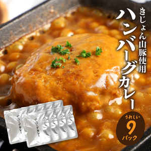 宮崎県産豚 自社ブランド「季じょん山豚」 レトルトハンバーグカレー9パック_K16_0042_4