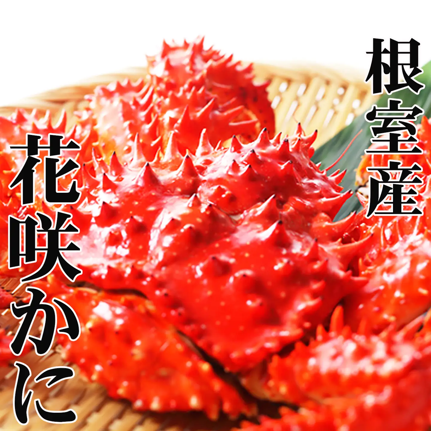 【北海道根室産】花咲かに300g前後～450g前後×4尾 A-36001