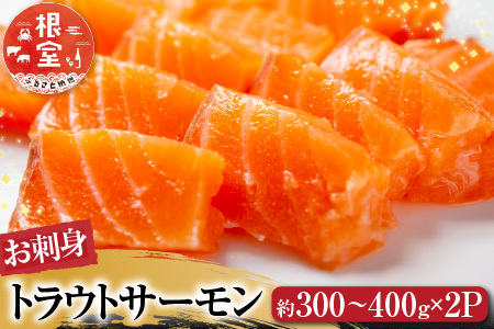 根室海鮮市場[直送]お刺身トラウトサーモン約300～400g×2P A-28130