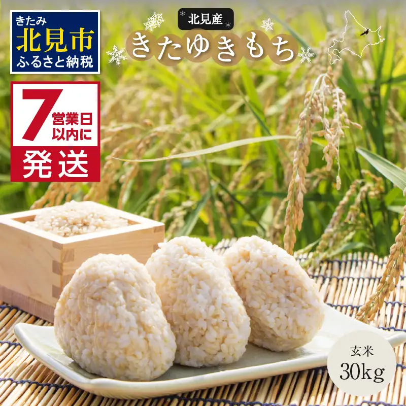 《7営業日以内に発送》令和7年産 北海道産きたゆきもち 玄米 30kg ( 米 お米 モチ米 もち米 餅 赤飯 ぼたもち おはぎ 美味しい 北海道 )【080-0094】