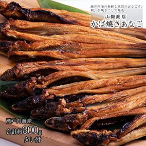 穴子 先行予約 山銀商店 かば焼き あなご (合計約300g) 