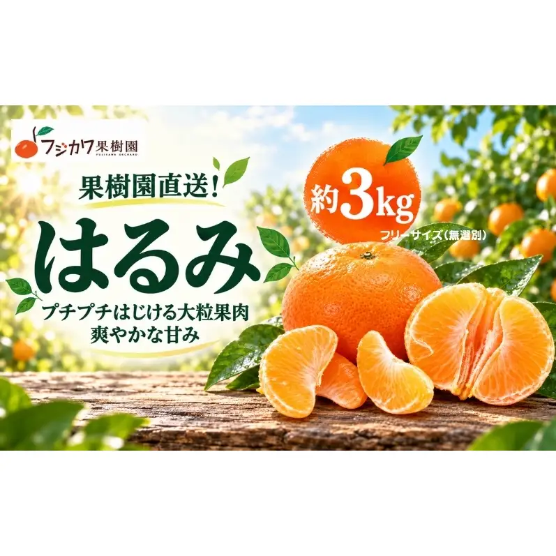 はるみ みかん 約3kg 柑橘 香川県産 国産 デコポン 清見 ポンカン 交配種 手で皮がむける フリーサイズ 無選別 フジカワ果樹園 果実 中晩柑 はるか 日向夏 甘い セミノール オレンジ おすそ分け ギフト 贈り物 手土産 贈答用 フルーツ 香川県 観音寺市