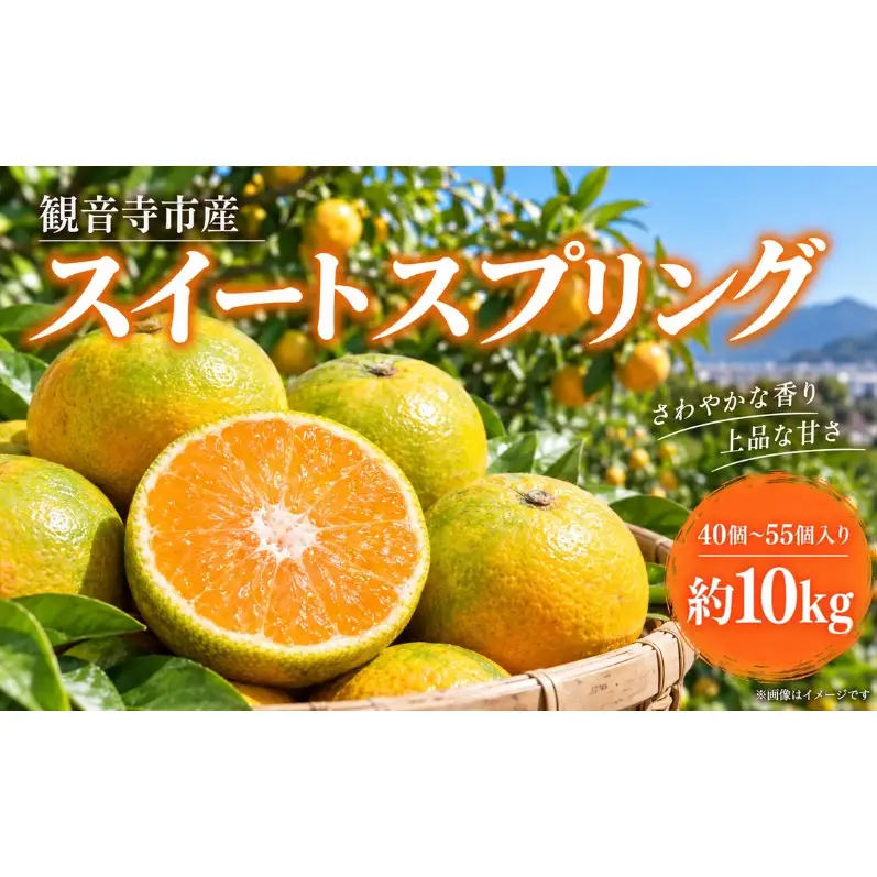 スイートスプリング 約10kg 果物類 みかん 柑橘類 フルーツ