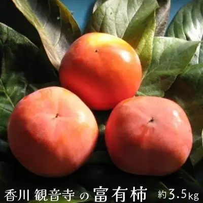 富有柿 約3.5kg 果物類 フルーツ 柿