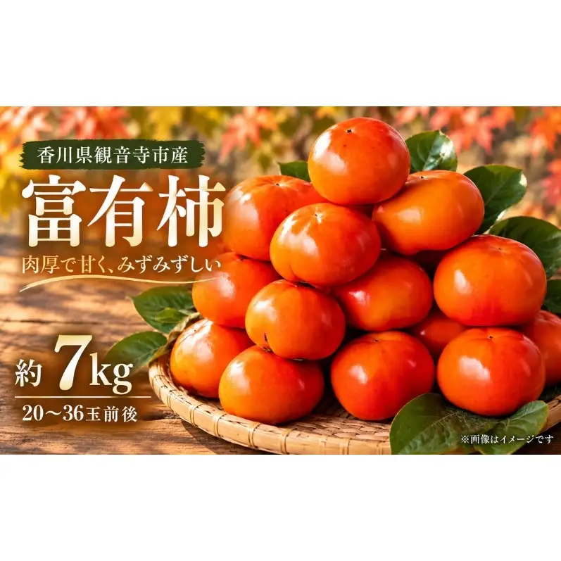 富有柿 約7kg 果物類 フルーツ 柿　 