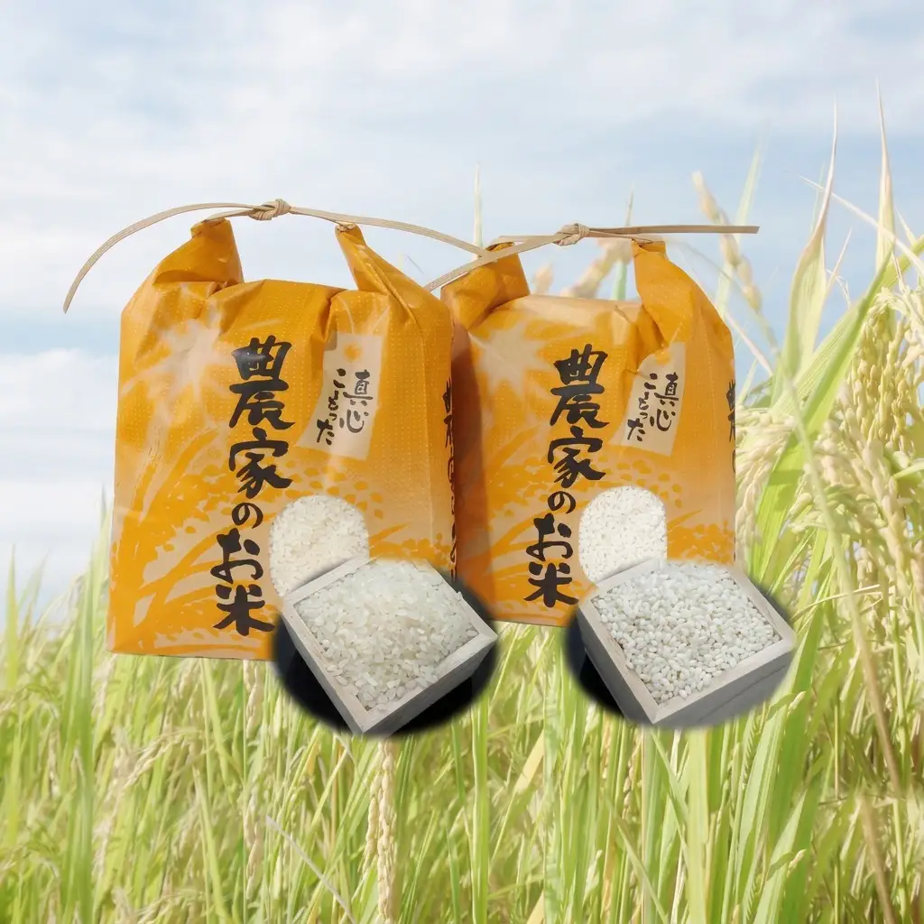 森のそら精米（白米・もち米）セット お米 
