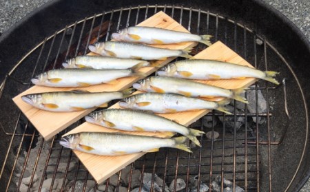 松田川産天然アユ800g 魚