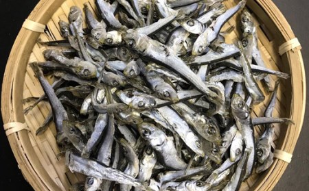 中野海産のこべらじゃこ 500g じゃこ