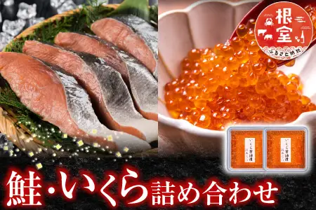 ＜鮭匠ふじい＞鮭・いくら詰合せ A-42064