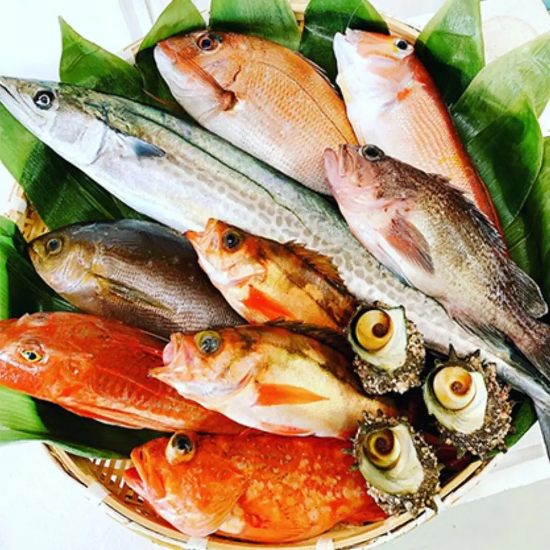 京都府宮津市産『朝どれ！山一鮮魚おおきに便』約4～5kg 魚介類 セット 産地直送 鮮魚 内臓処理加 鮮度抜群 冷蔵 詰め合わせ 旬 鯛  未加工