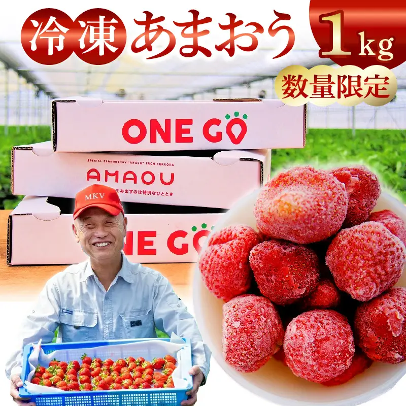 【数量限定】福岡県産あまおう（冷凍1kg）特別栽培_数量限定 急速冷凍 いちご あまおう 1kg 冷凍 3Dフリーザー 長期保存可能 国産 サクサク シャーベット フルーツ デザート フレッシュ 果物 便利 安心 長持ち 保存料不使用 無香料 無加糖 エコファーマー GAP認定 福岡県 久留米市 送料無料 〔Fi203〕