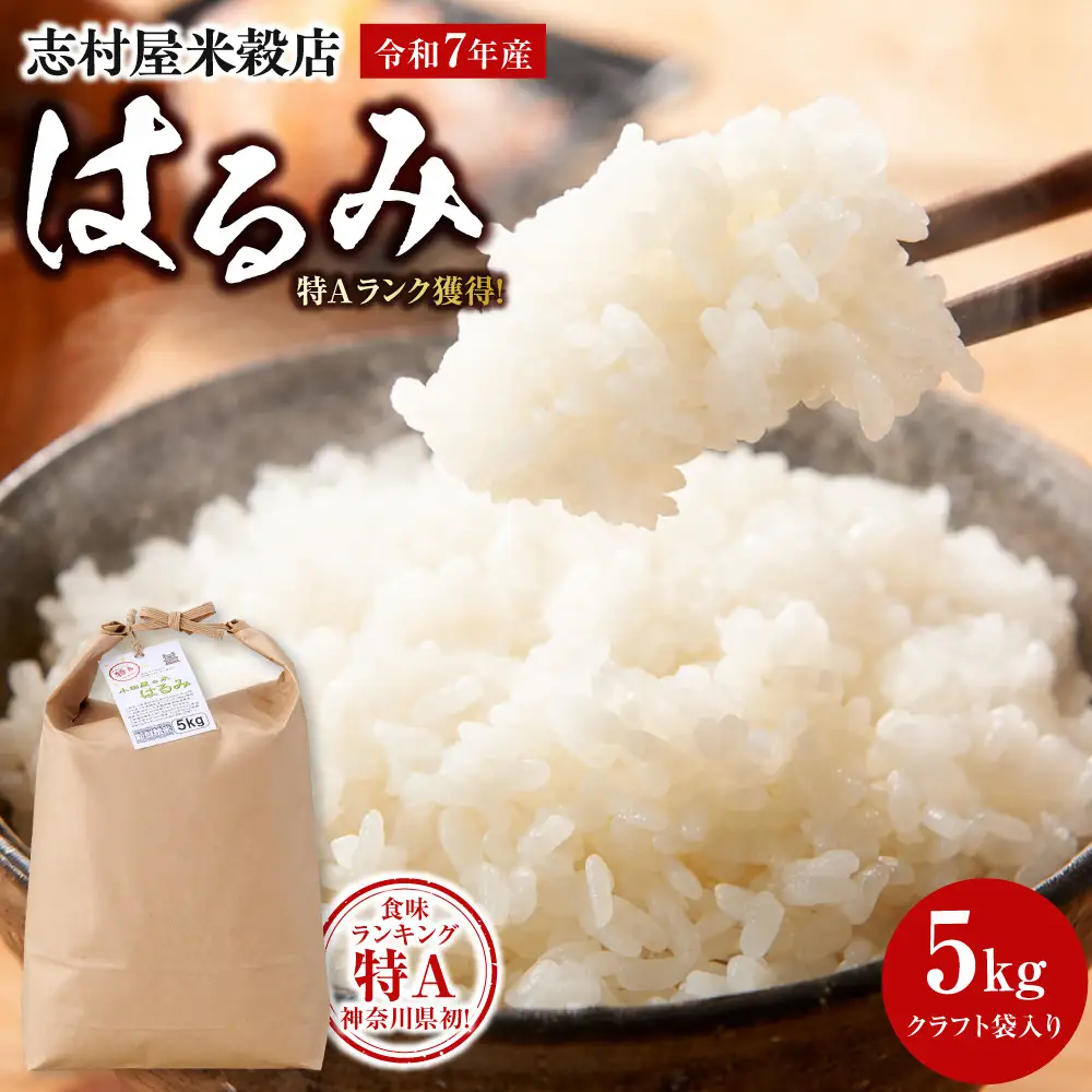 志村屋米穀店 令和7年産小田原市産　はるみ  5kg
