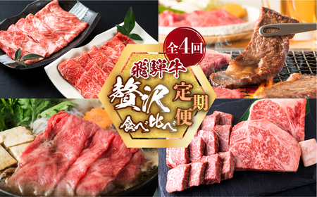 定期便 飛騨牛 4回 食べ比べ 牛肉  [S091_re] 定期便