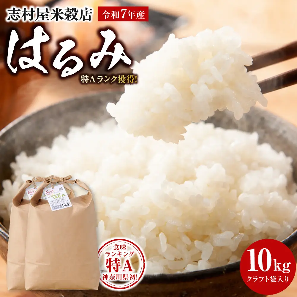 志村屋米穀店 令和7年産小田原市産　はるみ　10kg（5kgｘ2）｜お米 ご飯 神奈川県 小田原市