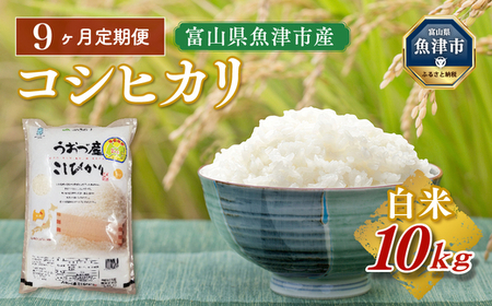 【令和8年度米】【9ヶ月定期便】富山県 うおづ産米「コシヒカリ」10kg（5kg×2袋）（精米）｜9ヶ月定期便 9回 9ヶ月 こしひかり こめ コメ お米 おこめ 白米 精米 雪解け水 香り うまみ あまみ 冷めても 美味しい おにぎり お弁当 高品質 魚津市 