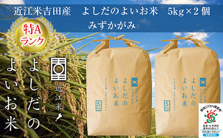 令和6年産　よしだのよいお米 近江米みずかがみ5kg×2 