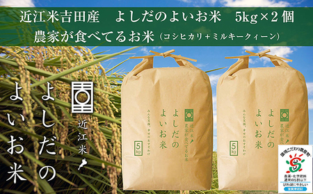 【10kg 5kg×2袋】【令和6年産】よしだのよいお米 近江米農家が食べてるお米 よしだのよいお米