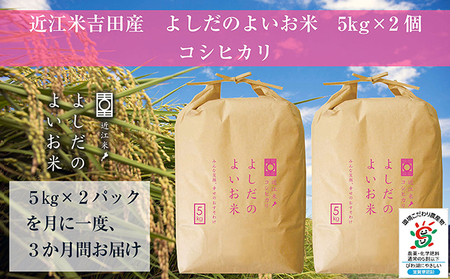 【令和6年産】 米 定期便 近江米 コシヒカリ 白米 10kg よしだのよいお米近江米コシヒカリ 10kg×3回 滋賀県 豊郷町