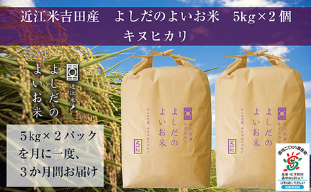 【令和6年産】 米 定期便 近江米 キヌヒカリ 白米 10kg よしだのよいお米 近江米キヌヒカリ 10kg×3回 滋賀県 豊郷町