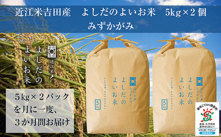 【10kg×3ヶ月】【定期便】近江米みずかがみ 白米 令和6年産 近江米みずかがみ