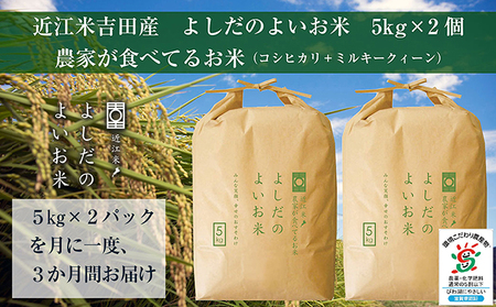 【10kg×3回】【定期便】よしだのよいお米 近江米農家が食べてるお米 よしだのよいお米