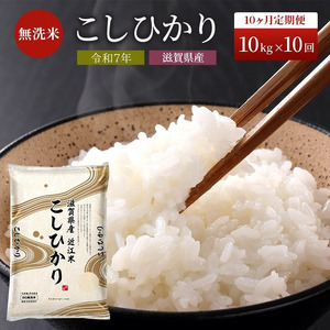 コシヒカリ お米 10kg 無洗米 定期10ヶ月 コシヒカリ