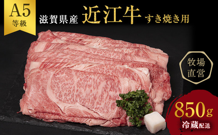 【最短1週間発送】【近江牛 西川畜産】A5ランク雌牛 すき焼用 約850g（モモ・カタ・ウデ・バラ系等）