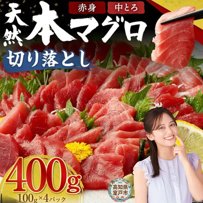 本まぐろ 赤身 中トロ 約400g まぐろ【tk024】