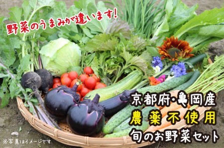 京都府・亀岡産 無農薬・自然栽培で育てた体も心も喜ぶ、かたもとオーガニックファームの季節のお野菜セット　10～20品目