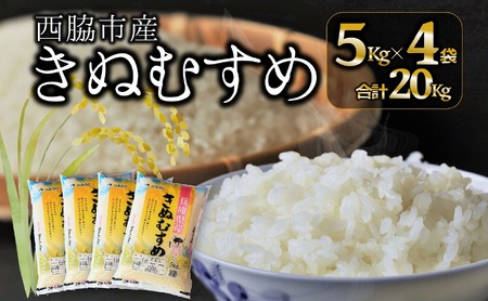 【ブランド米 きぬむすめ】精米20kg（5kg×4袋）／38.5-3
