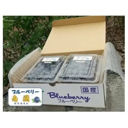 【先行受付】ブルーベリー生果 280g x 4パック 『大粒・完熟』〈6～8月出荷〉【配送不可地域：離島】【1112401】
