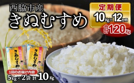 【ブランド米 きぬむすめ 定期便】12か月連続お届け！ 合計120kg（精米5kg×2袋 12か月）／154-4