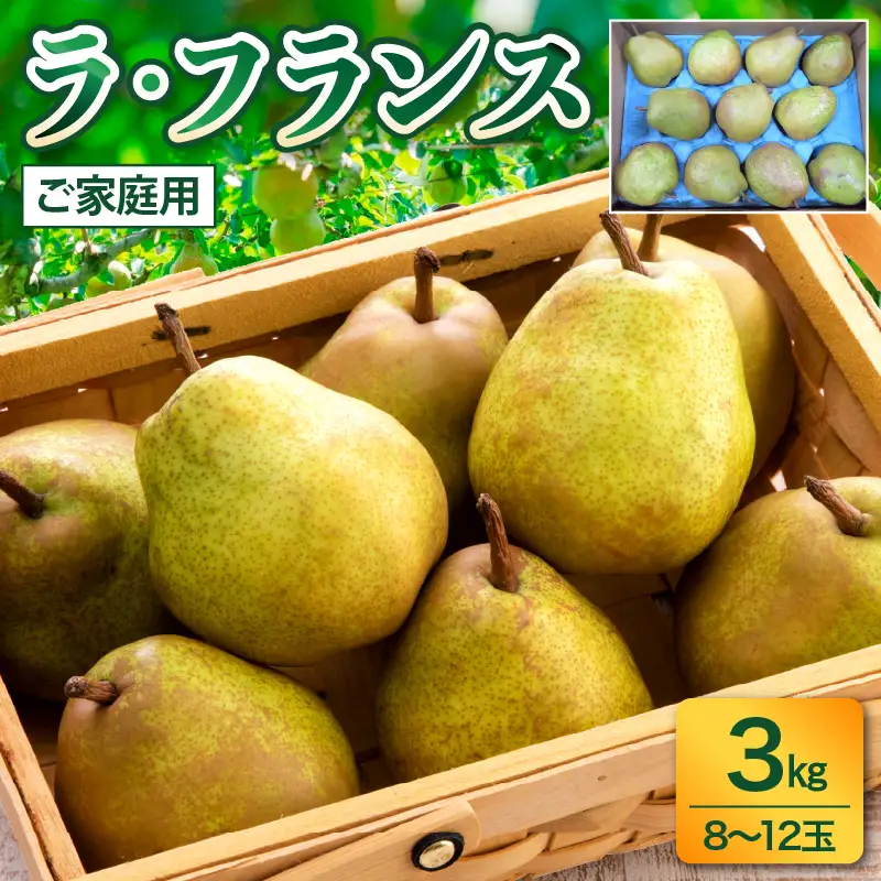 ラフランス 3kg ご家庭用 8~12玉 4L~L 西洋梨 ラ・フランス フルーツ 果物 0017-2615