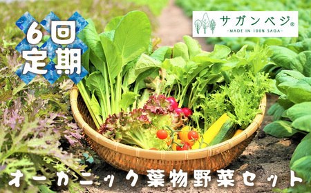 CQ036_【定期便】オーガニック葉物野菜セット【植物性で育てた完全無農薬の葉野菜ブランド有機JAS】 6回定期便