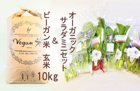 CQ026_オーガニックサラダミニセットとビーガン玄米10㎏【植物性で育てた完全無農薬のサガンベジブランド】 