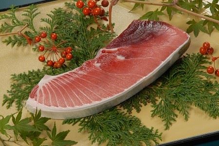 【定期便 6回】 南鮪・大トロ・中トロ(約1kg) (b200-027)