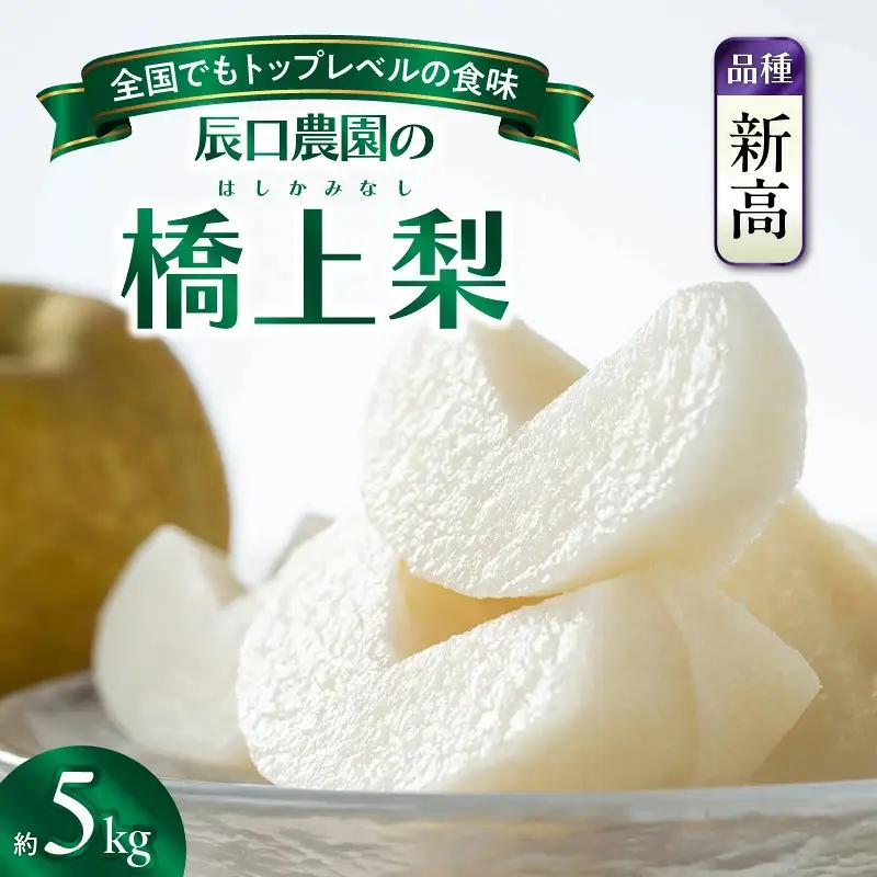 【先行予約】令和8年発送 /辰口農園の橋上梨約5kg(品種:新高)_1222R