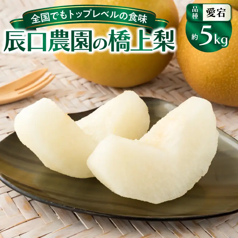 【先行予約】令和8年発送 /辰口農園の橋上梨約5kg(品種:愛宕)_1303R