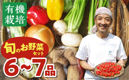 【先行予約】ありがとうファーム野菜セット 6-7品 野菜セット
