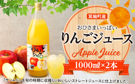 リンゴジュース 1000ml×2本 リンゴジュース