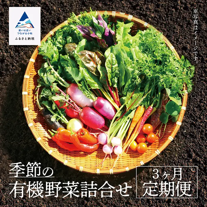 有機野菜 定期便 3ヶ月 有機野菜