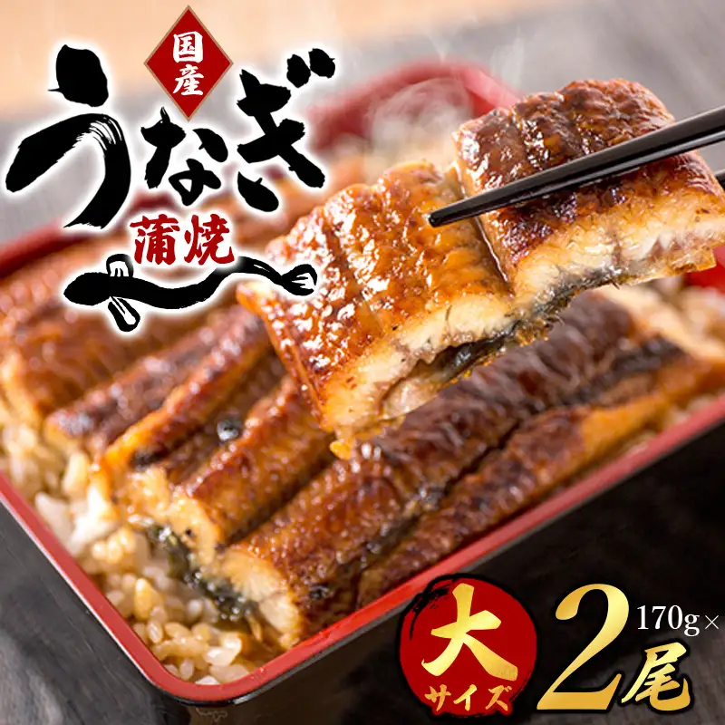 うなぎ 国産 うなぎ蒲焼き 約170g×2尾【uot302A-3】