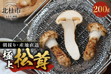 『極上天然松茸』（200ｇ）　山梨県北杜市産・朝採り・産地直送 [h019]