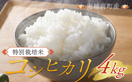 令和7年度産 特別栽培米 コシヒカリ 4kg 南越前町