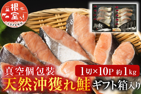 天然沖獲れ鮭1切×10P(約1kg) B-11060