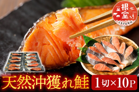天然沖獲れ鮭1切×10P(約1kg) B-14062