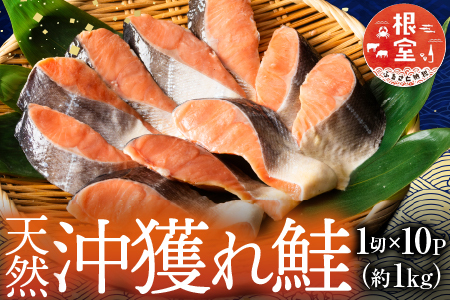 根室海鮮市場[直送]天然沖獲れ鮭1切×10P(約1kg) B-28060