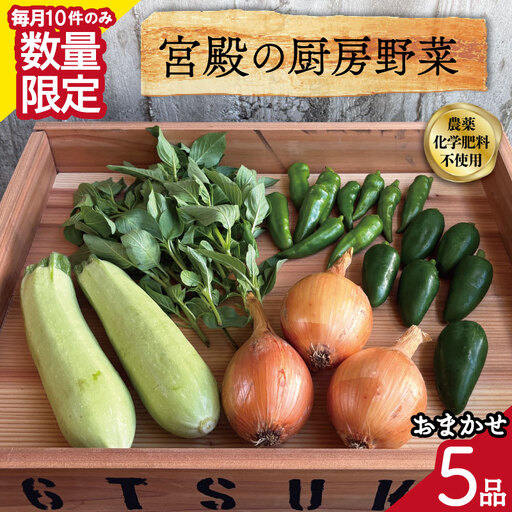 宮殿の厨房野菜おまかせ5品　セット E2220