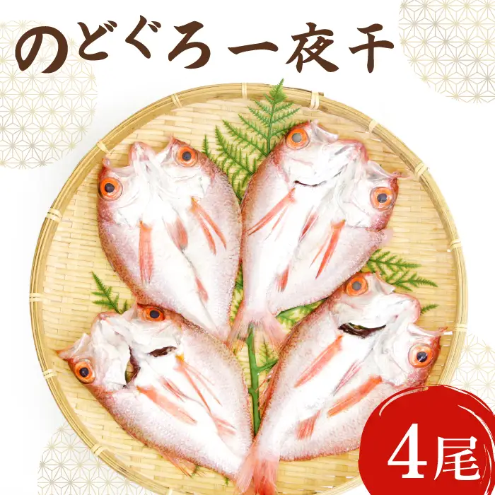 ノドグロ一夜干４尾セット【のどぐろ一夜干し のどぐろ 干物 4尾 1尾あたり120～140g 島根県産 大田市産 魚介類 魚 ノドグロ のど黒 高級魚 干物 真空パック 冷凍】